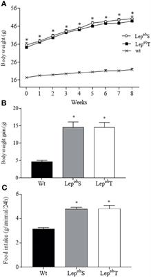 Aerobic Physical Exercise Improves Exercise Tolerance and Fasting Glycemia Independent of Body Weight Change in Obese Females